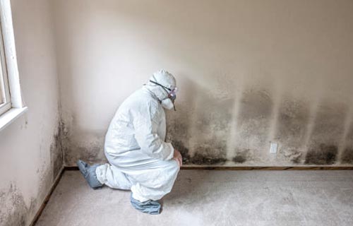Advanced Environmental Services Inc